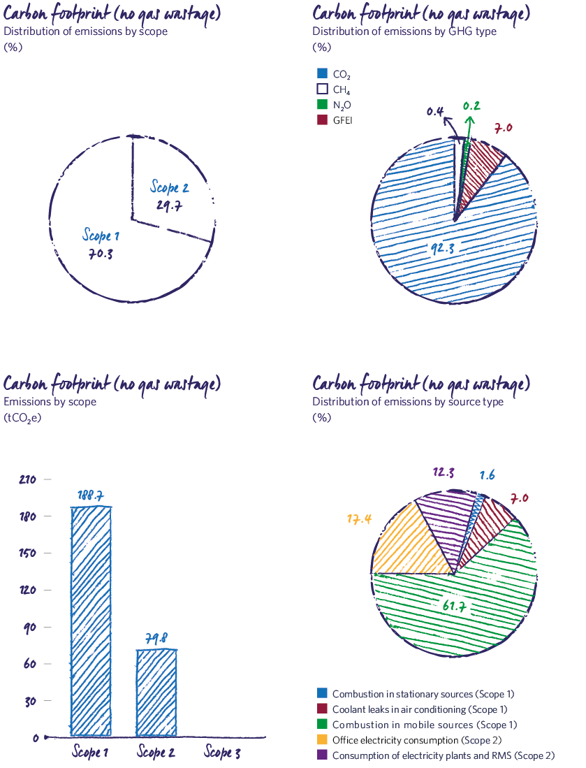 Carbon footprint (no gas wastage) 2019 MRG